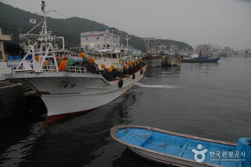 新津岛