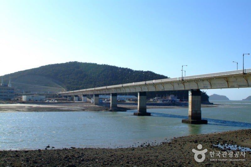 新津岛