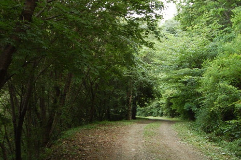 大芚山自然休养林대둔산자연휴양림