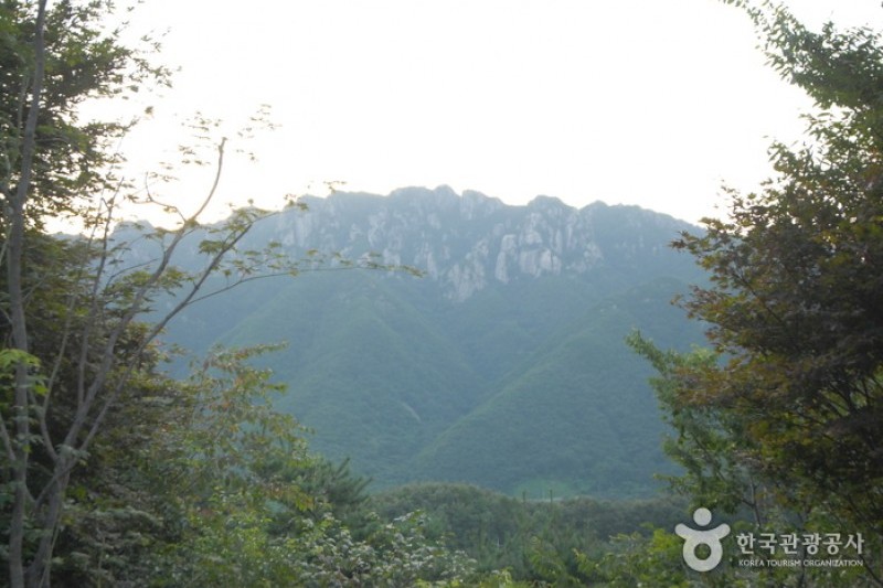 大芚山自然休养林대둔산자연휴양림