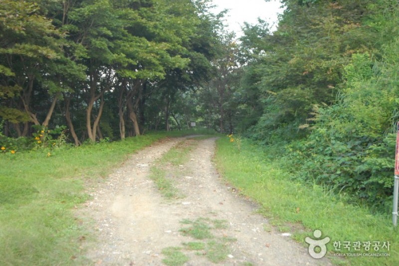 大芚山自然休养林대둔산자연휴양림