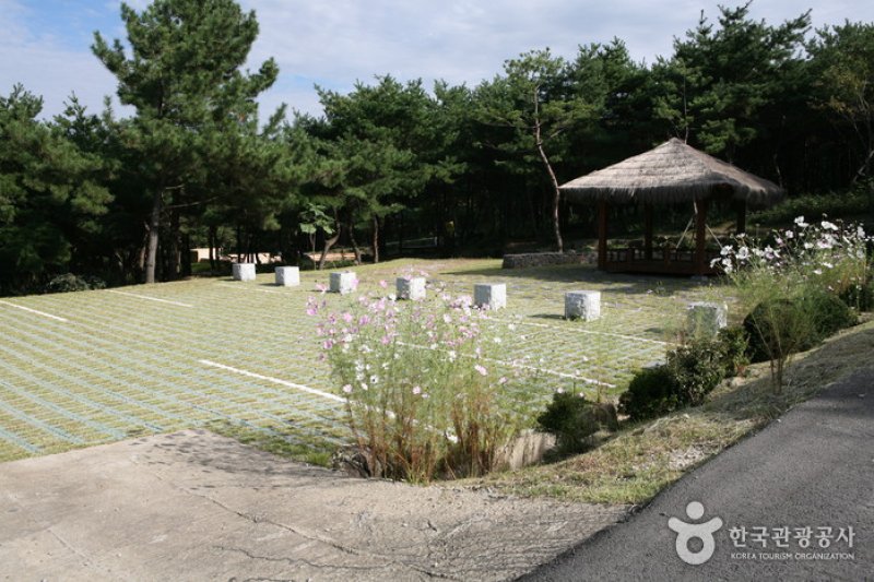 泰鹤山自然休养林 (1/6)