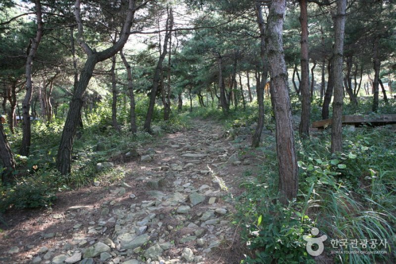 泰鹤山自然休养林 (2/6)