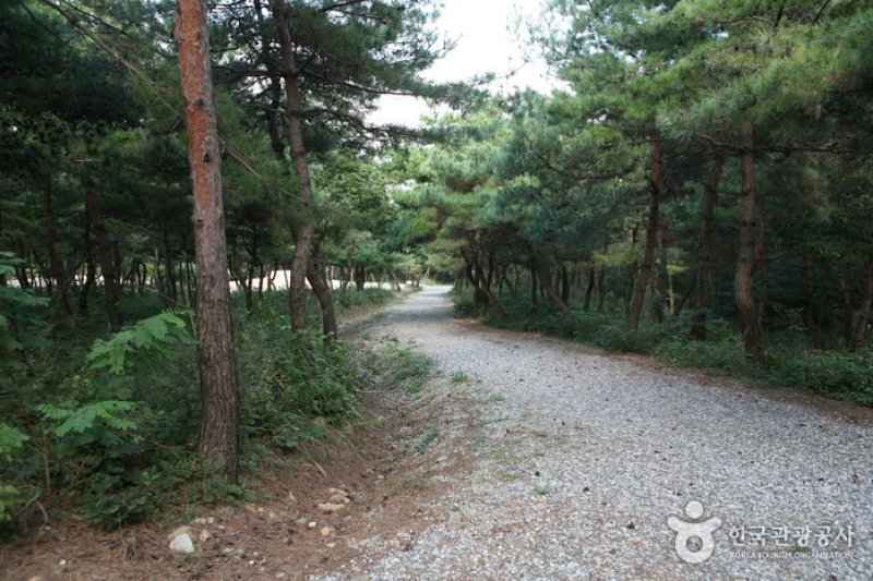 泰鹤山自然休养林 (4/6)