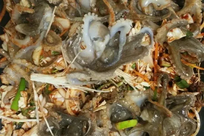 武昌浦神秘海路短爪章鱼·比目鱼庆典