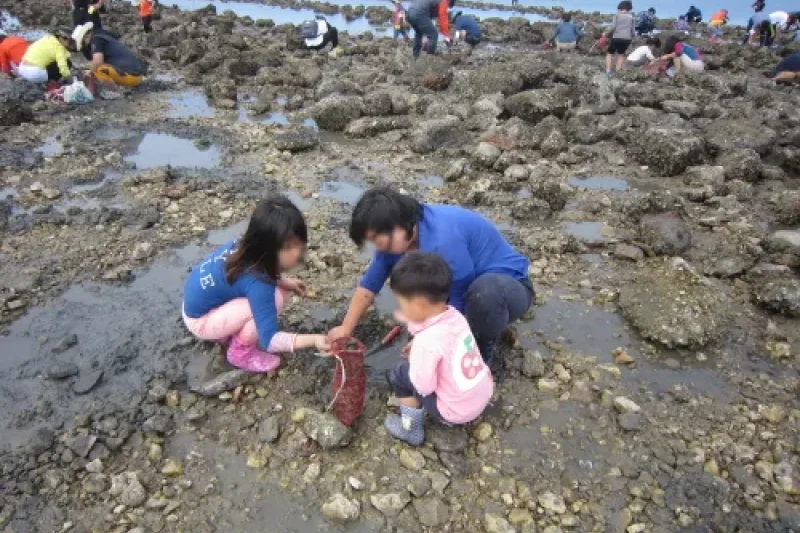 武昌浦神秘海路短爪章鱼·比目鱼庆典