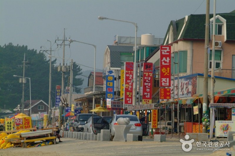武昌浦神秘海路-大虾、钱鱼庆典무창포 신비의 바닷길 대하·전어 축제 (1/10)