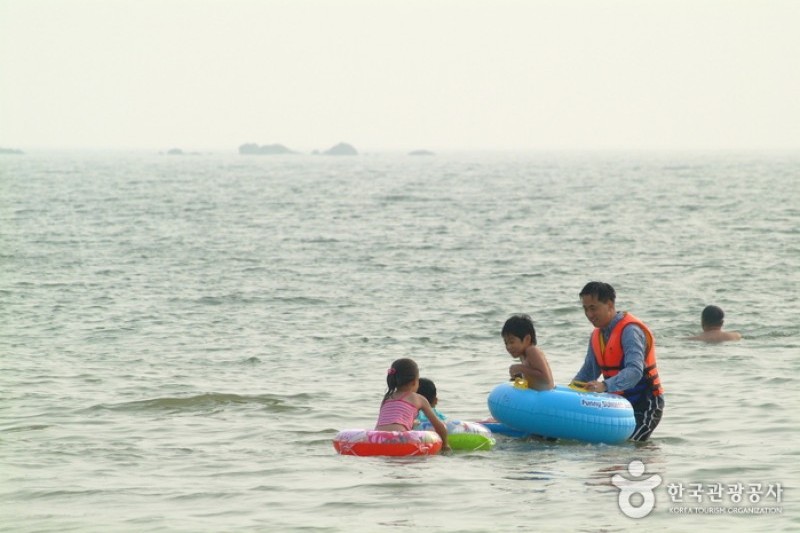 武昌浦神秘海路-大虾、钱鱼庆典무창포 신비의 바닷길 대하·전어 축제 (2/10)