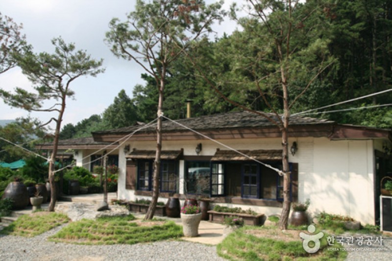 野花