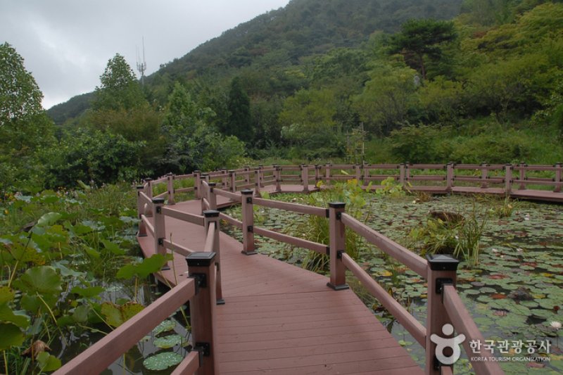 Kohwun植物园