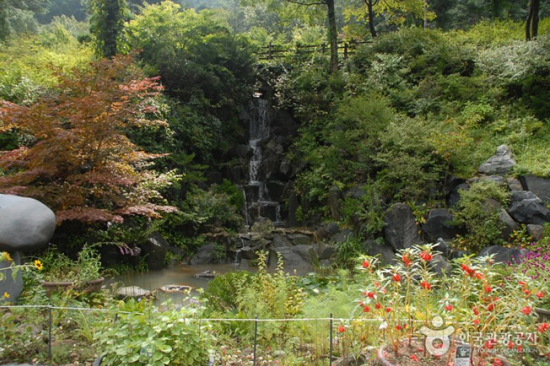 Kohwun植物园