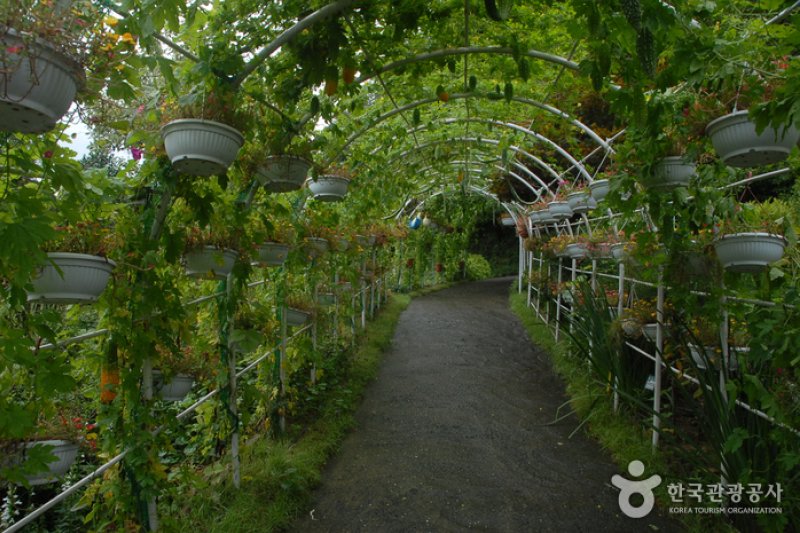 Kohwun植物园