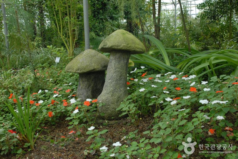 Kohwun植物园