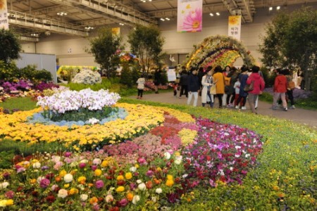 光州春花博览会2015
