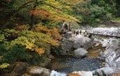 九龙瀑布
