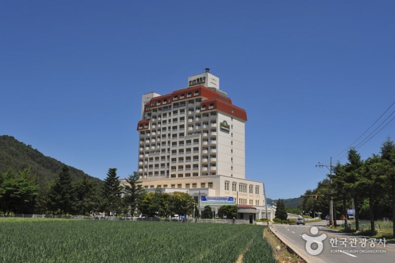 肯星顿 FLORA 酒店