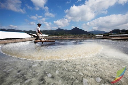 熊渊盐田