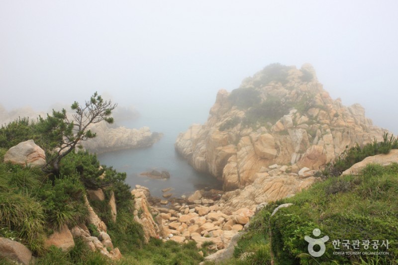 大王岩公园