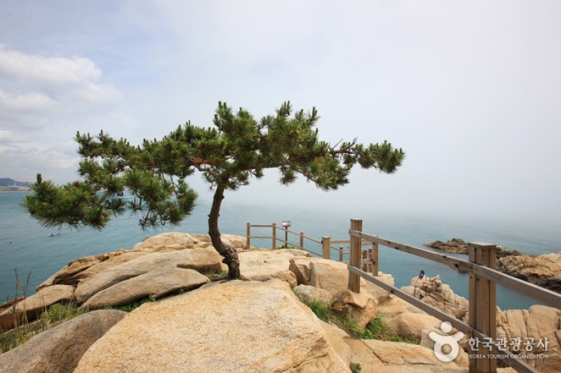 大王岩公园