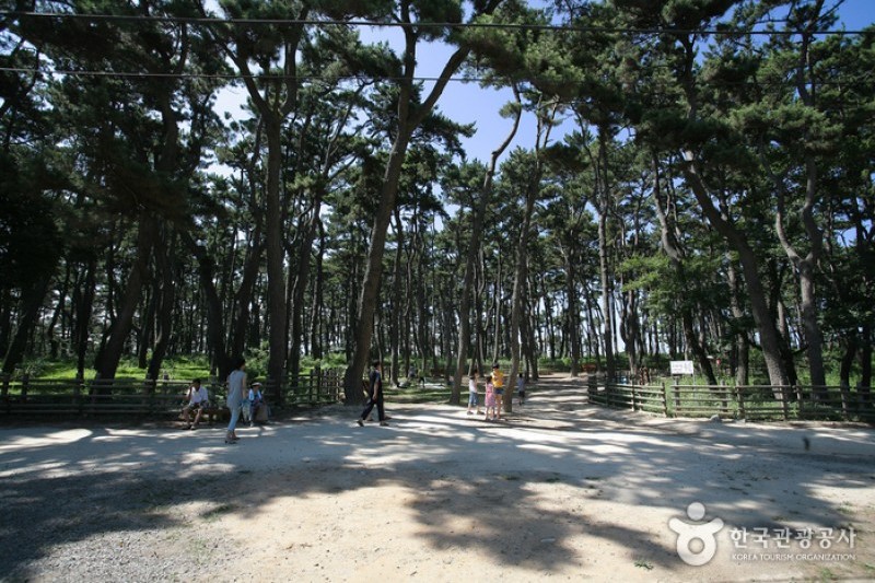 大王岩公园