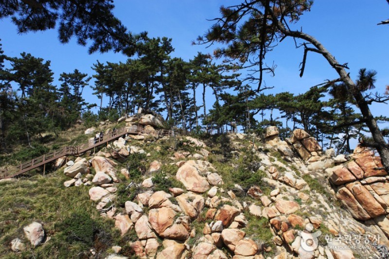 大王岩公园