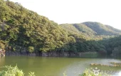 蔚山大谷里盘龟台岩刻画