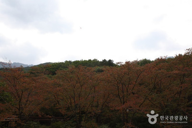 神佛山郡立公园