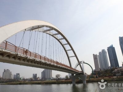 太和江大公园