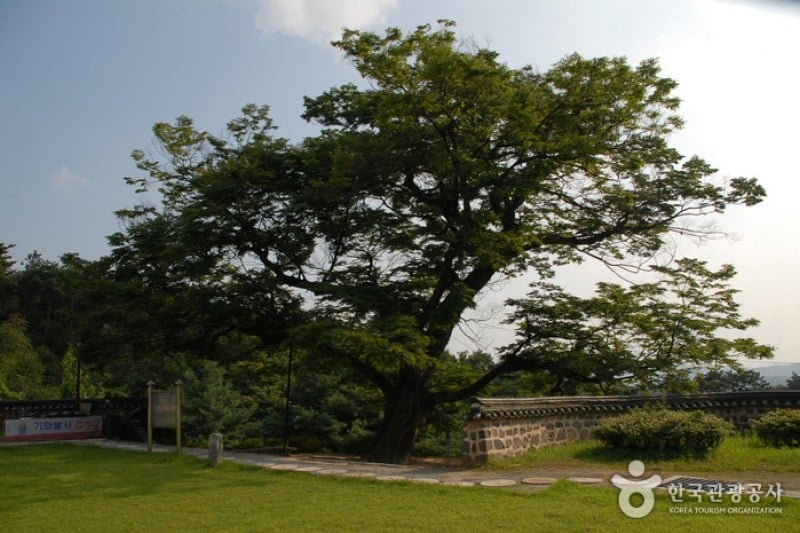 碑岩寺비암사