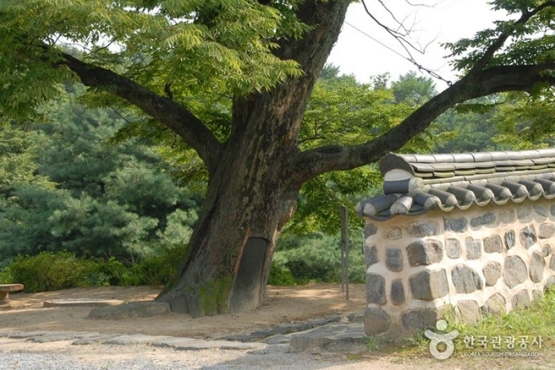碑岩寺비암사