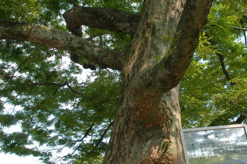 碑岩寺비암사
