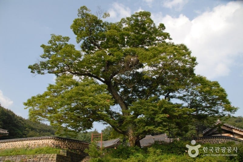 碑岩寺비암사