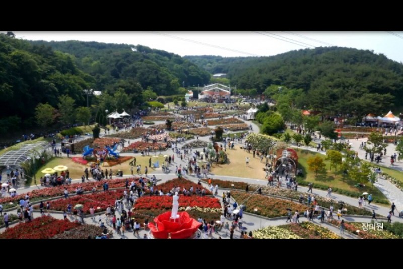 蔚山大公园玫瑰节