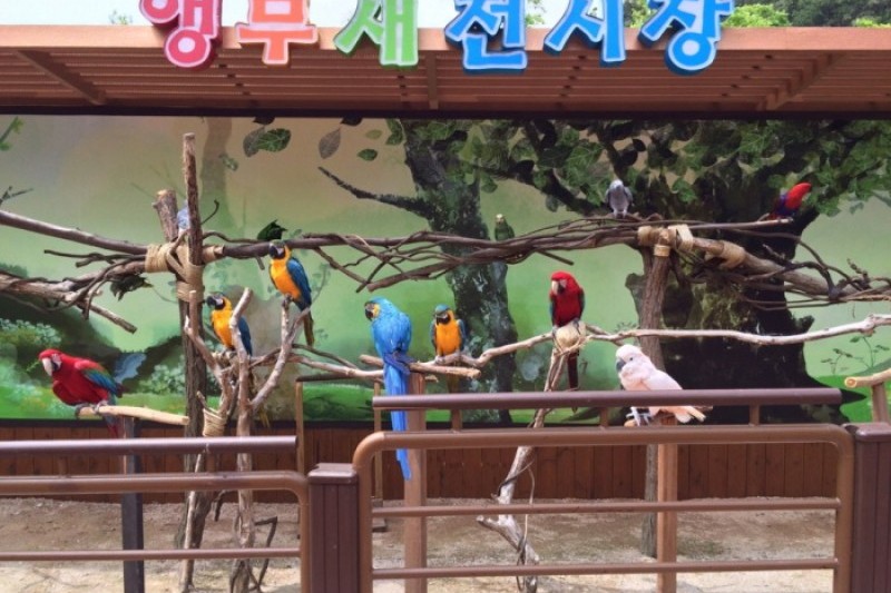 蔚山大公园玫瑰节