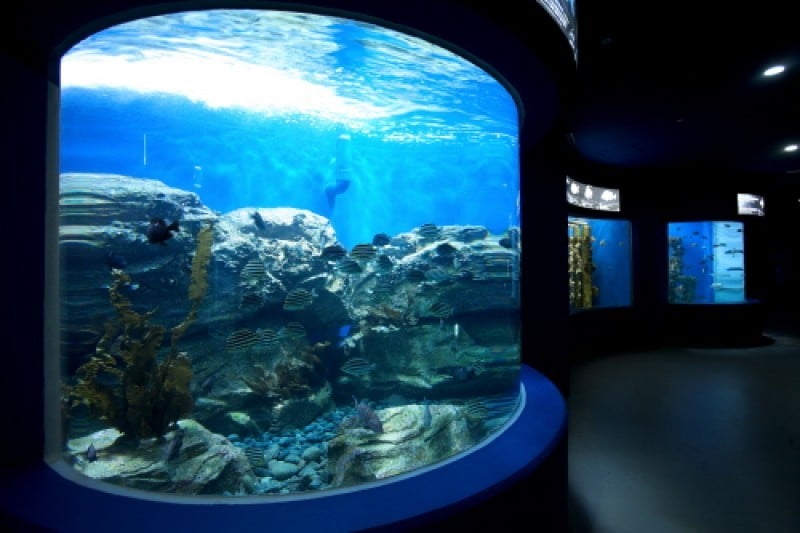 Aqua Planet