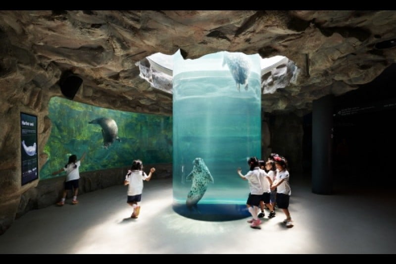 Aqua Planet