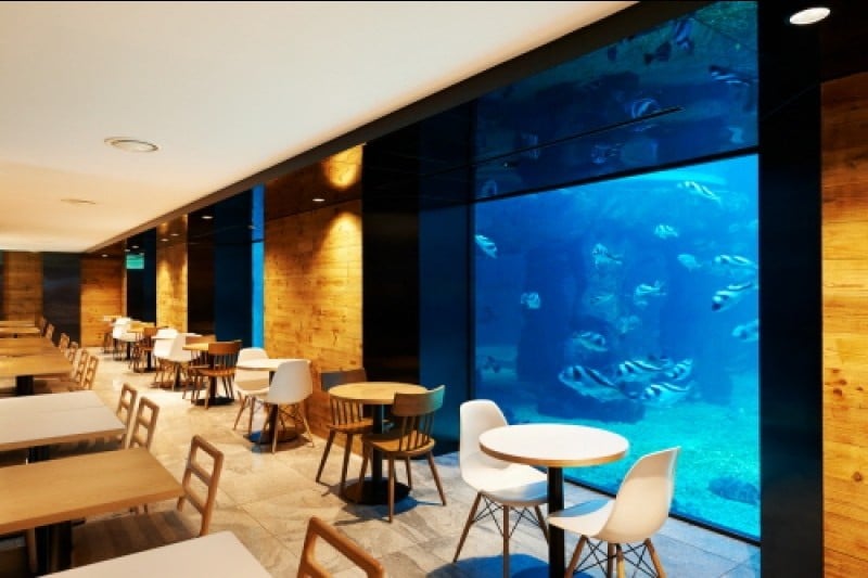 Aqua Planet
