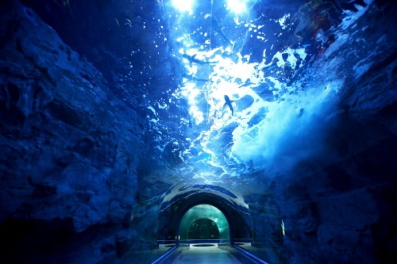Aqua Planet