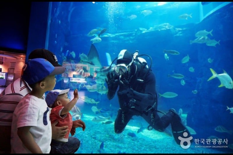 Aqua Planet