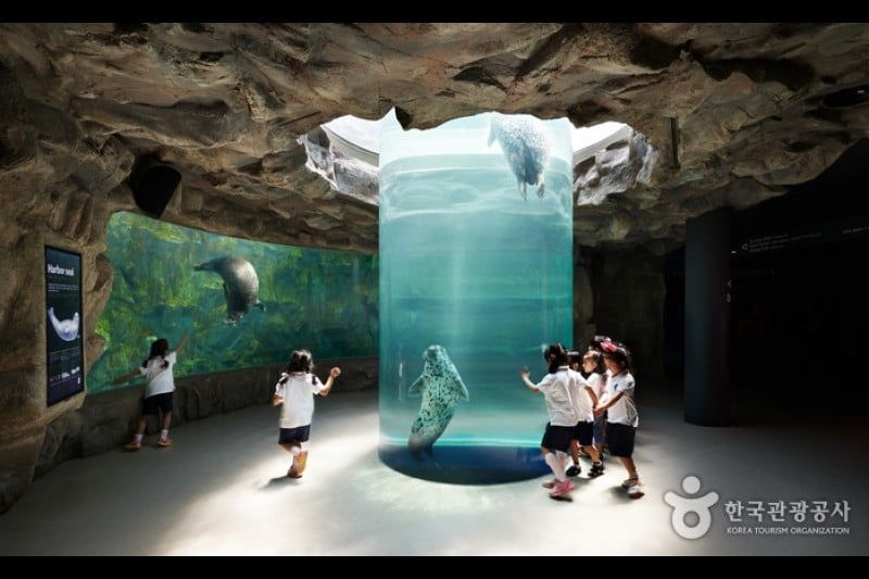 Aqua Planet