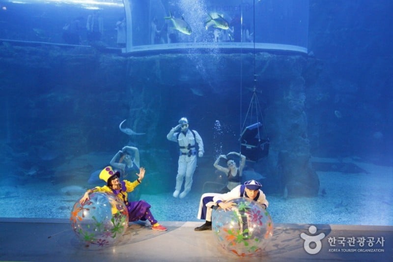 Aqua Planet