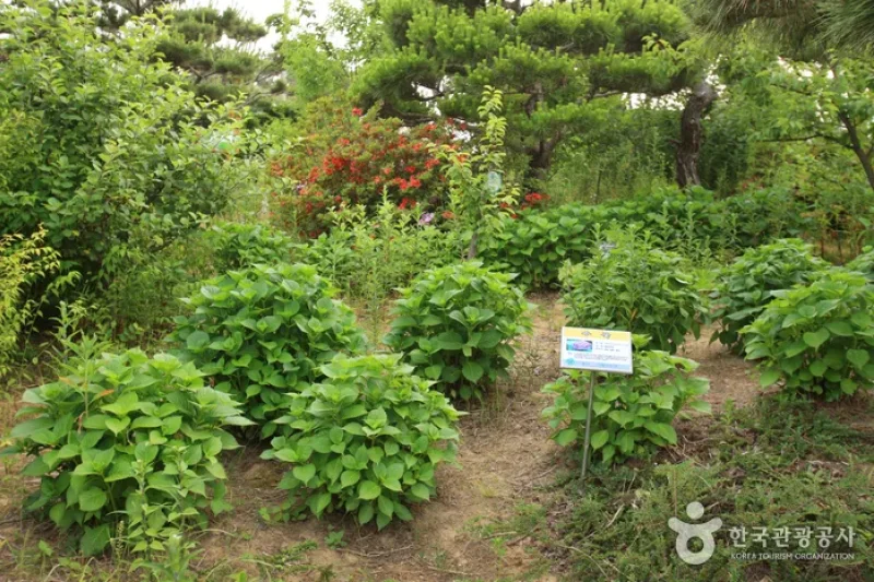蔚山主题植物树木园