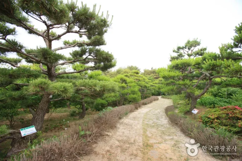 蔚山主题植物树木园