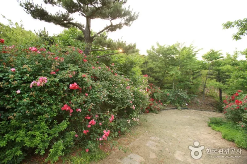 蔚山主题植物树木园