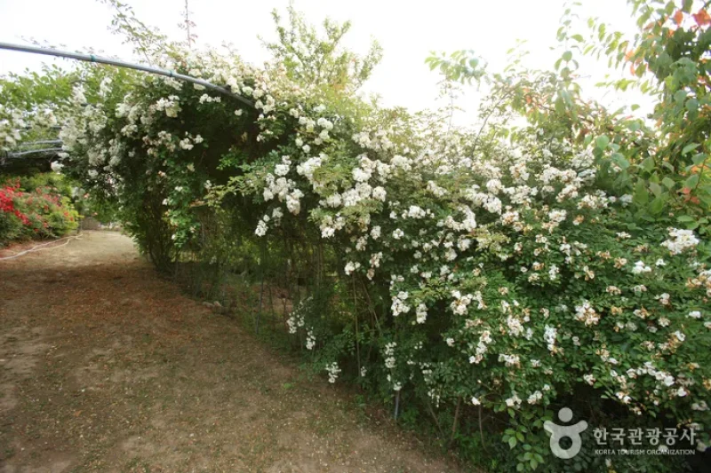 蔚山主题植物树木园