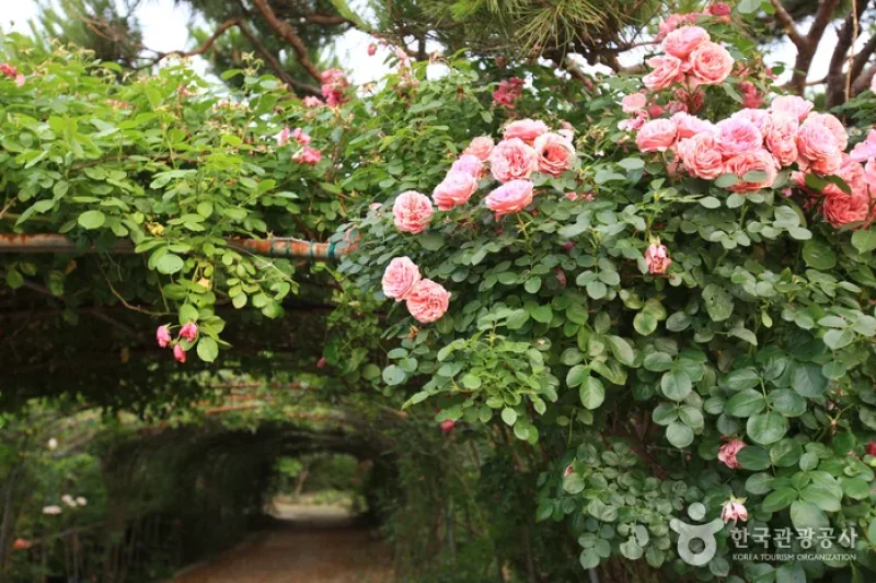 蔚山主题植物树木园