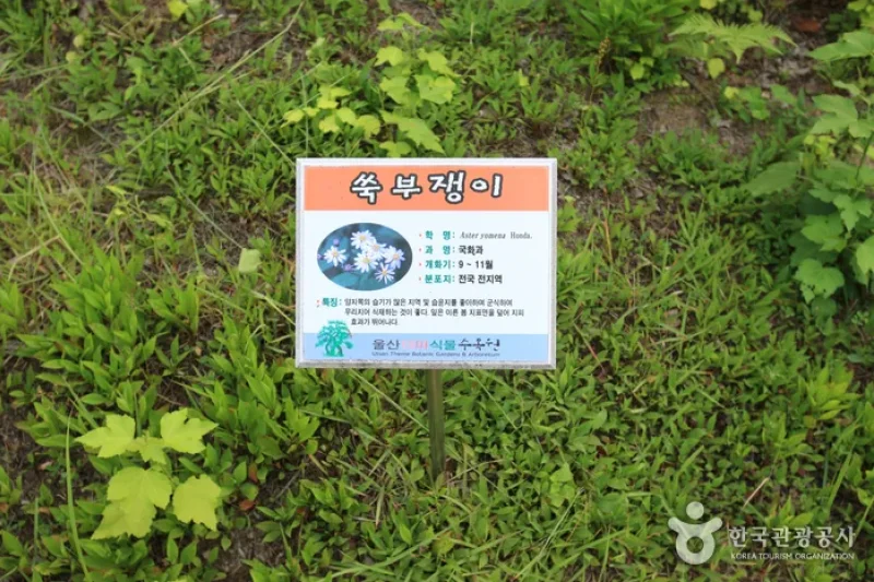 蔚山主题植物树木园