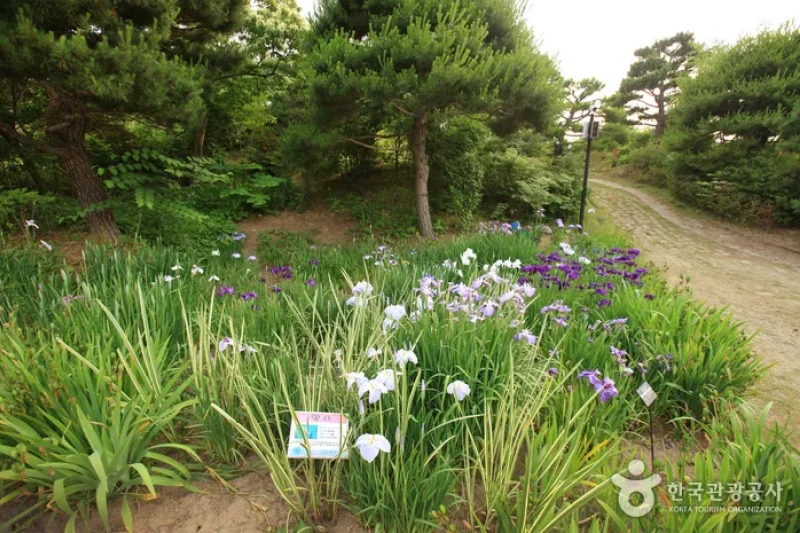 蔚山主题植物树木园