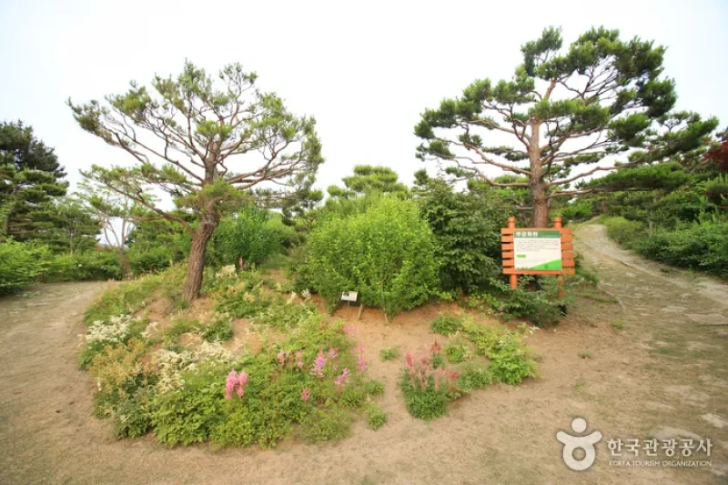 蔚山主题植物树木园