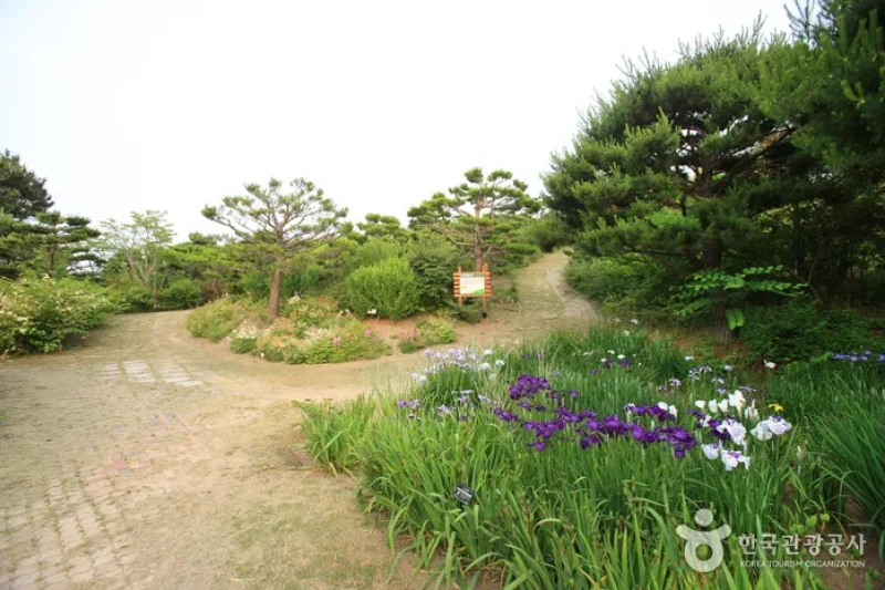 蔚山主题植物树木园